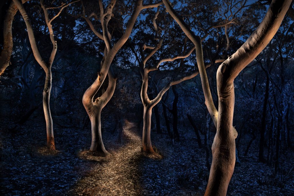 Wonderland series, Royal National Park