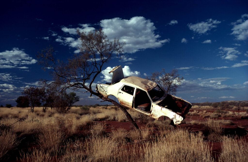 A tree in the Hamersley Range, 1981
