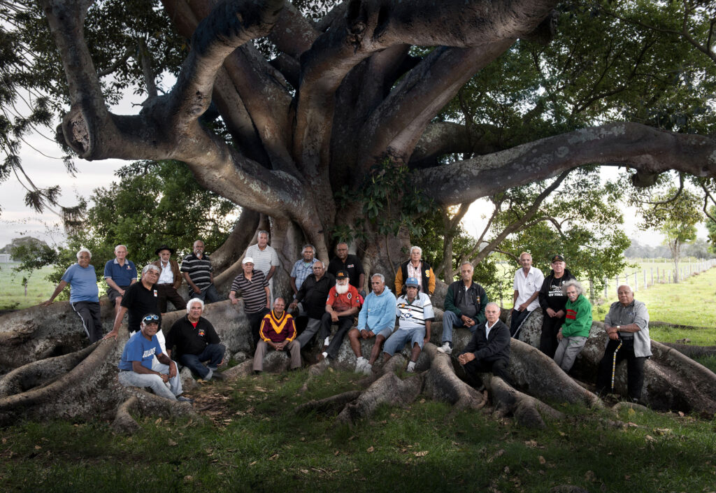 The Punishment Tree illuminated at night, 2015